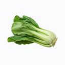 Pak choi
