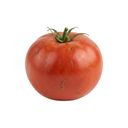 Pomidor