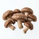 Grzyby shiitake