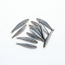 Anchois
