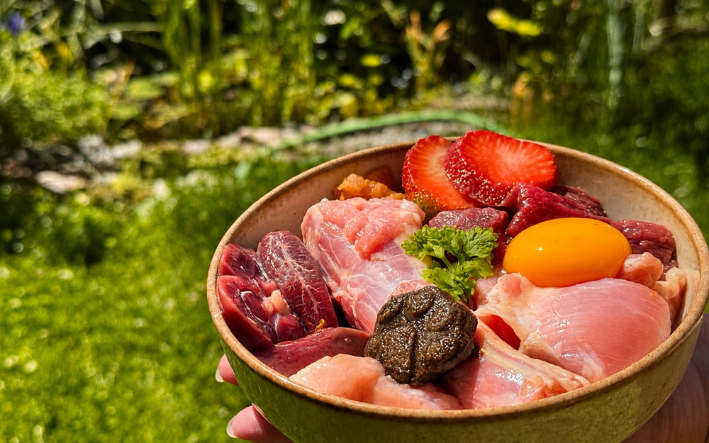 Miska BARF z dodatkami roślinnymi — mangan łatwo przeoczyć w diecie mięsnej